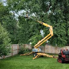 Best Lawn Drainage Solutions  in Inverness, FL